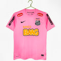 Santos 2013 Rosa